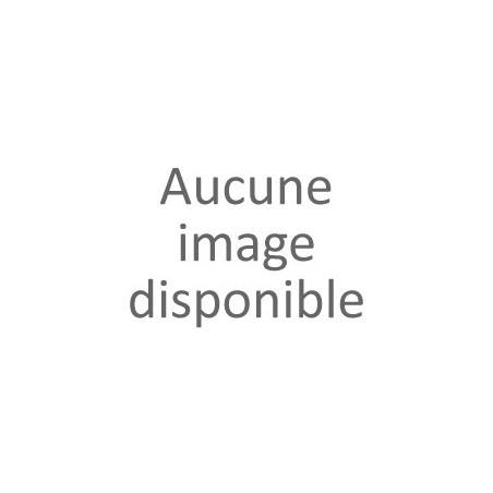 Savons Artisanaux Vegan